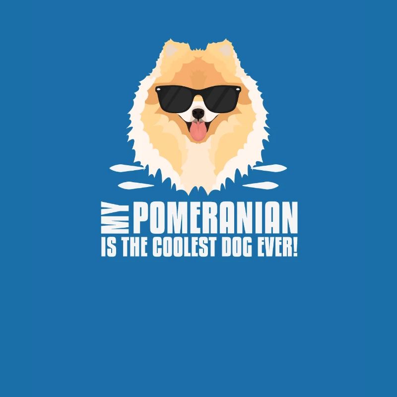 Mon spitz nain est le plus cool
