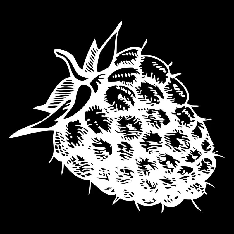Framboise fruit sain sain