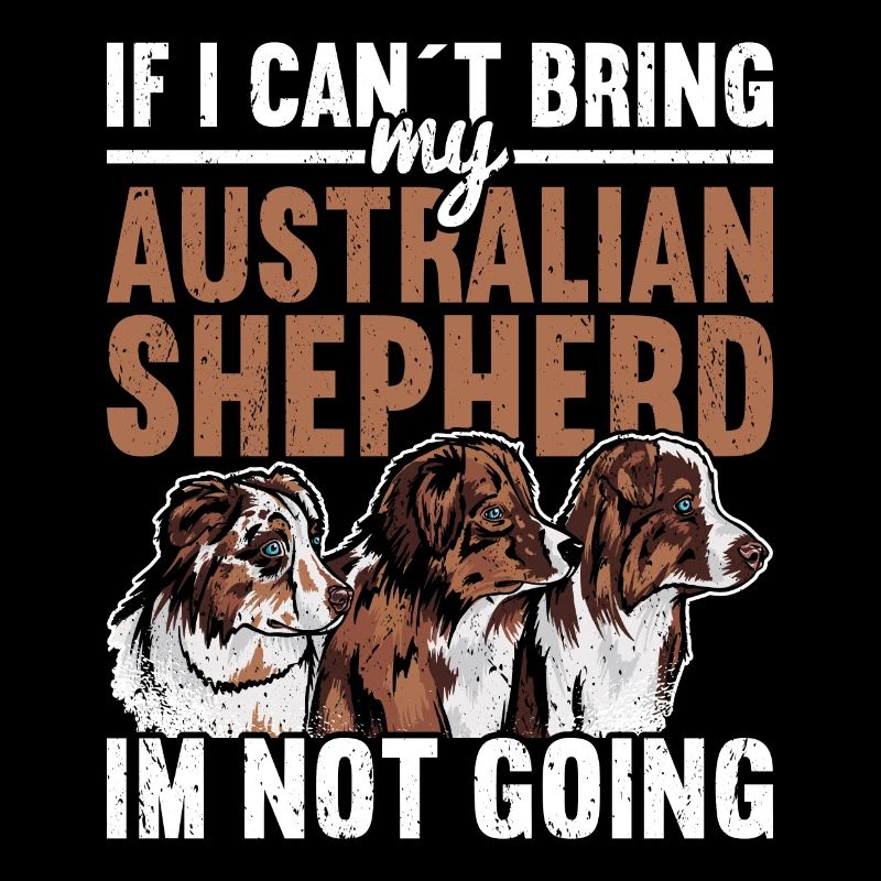 Australian Shepherd