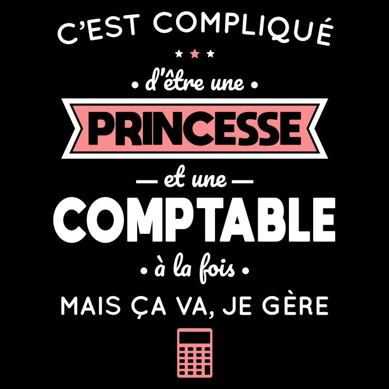 Compliqué d'être une princesse et une comptable
