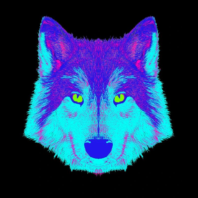 Wolf EDM