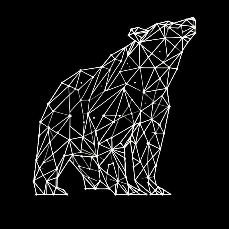 Bear Polygon