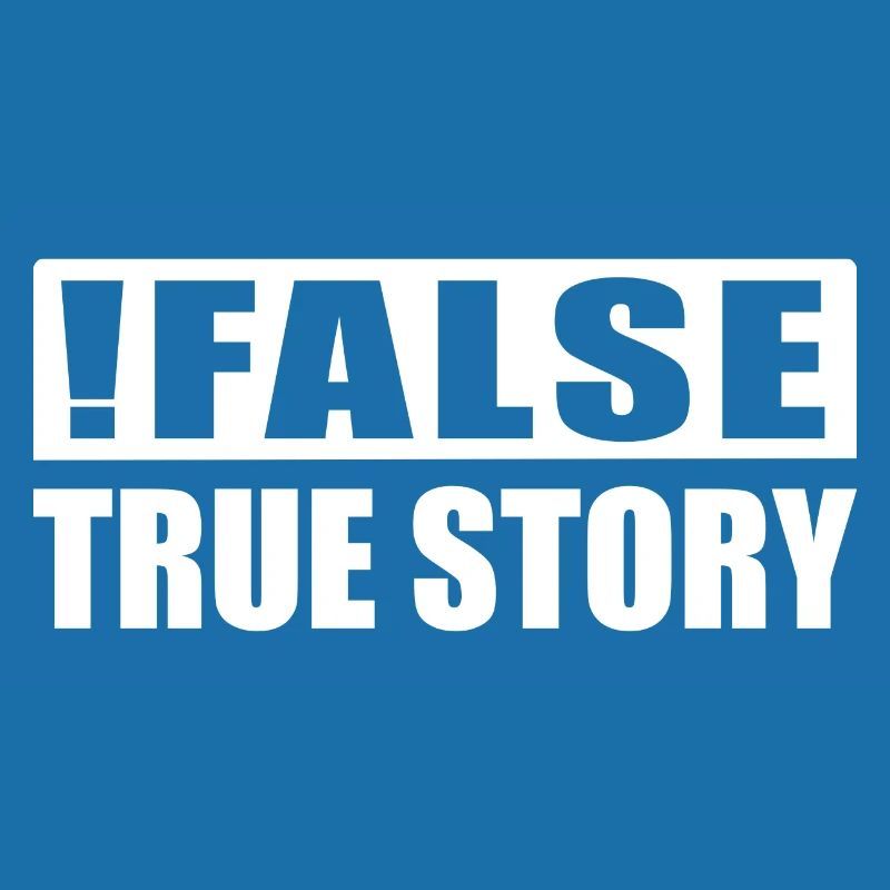 False True Story Computer Scientist Nerd ITler Gift
