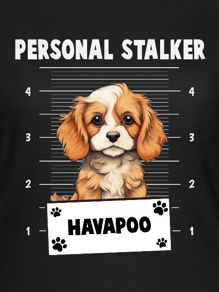 Personal Stalker Havapoo