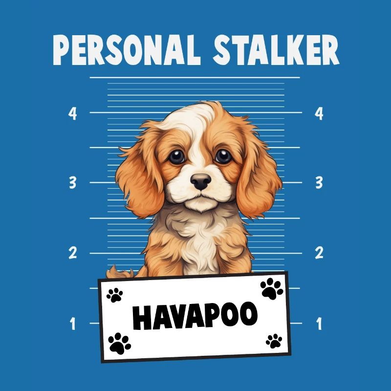 Personal Stalker Havapoo