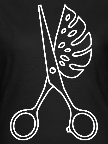 Scissors & Monstera