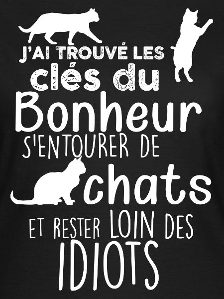 Chat, humour drôle pour les passionnés de chats