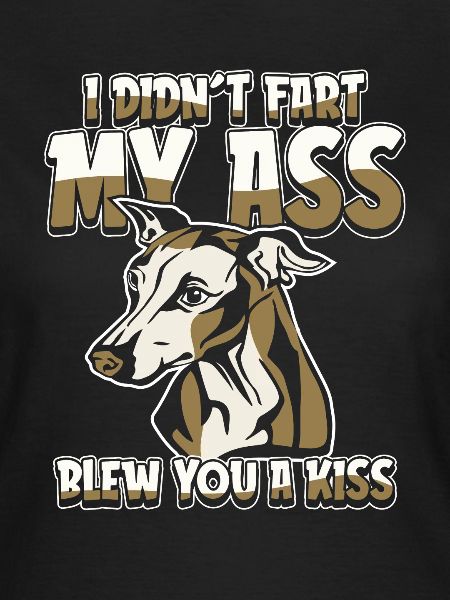Greyhound Windhund