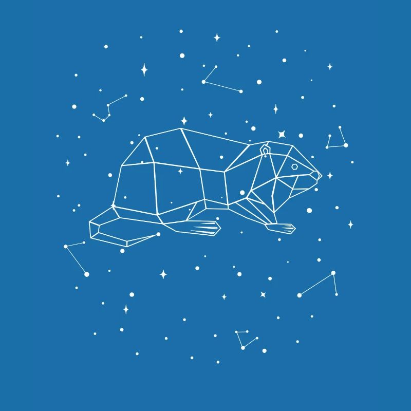 Sternbild Nutria Constellation Coypu Myocastor