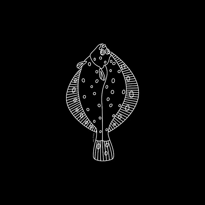 Plaice line drawing-white