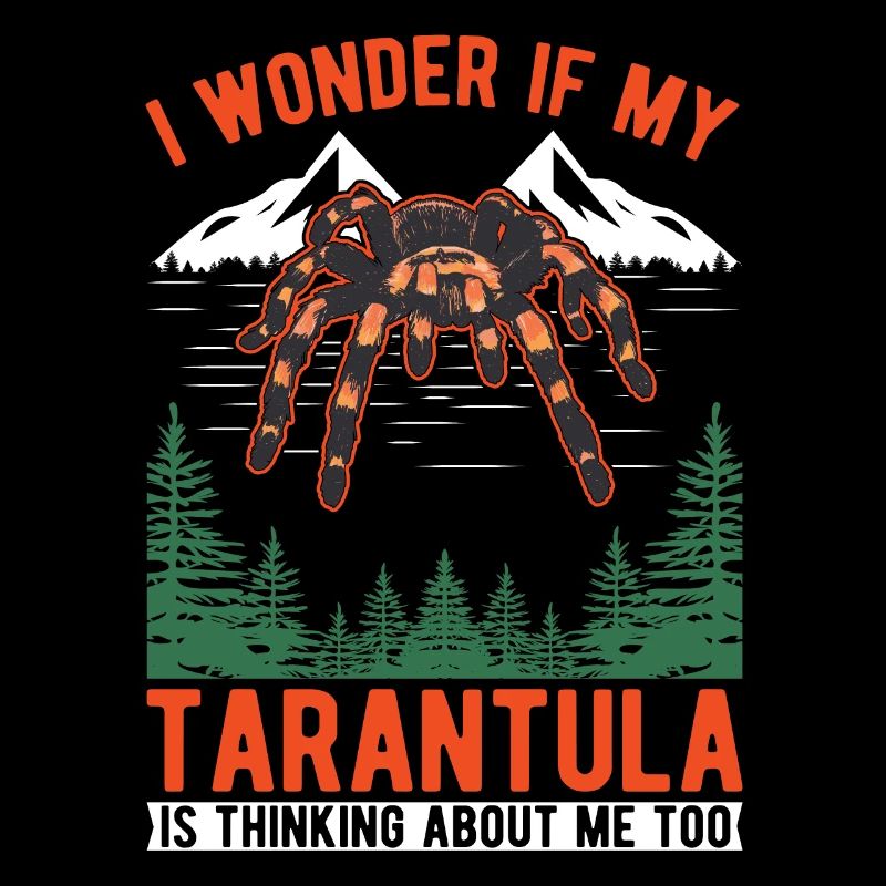 Tarentule Araignée Tarentule