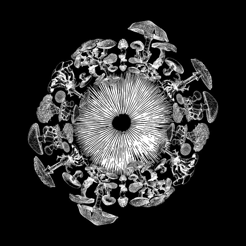 Champignon Iris Mycologie Spore Print