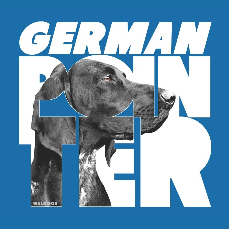 German Pointer I