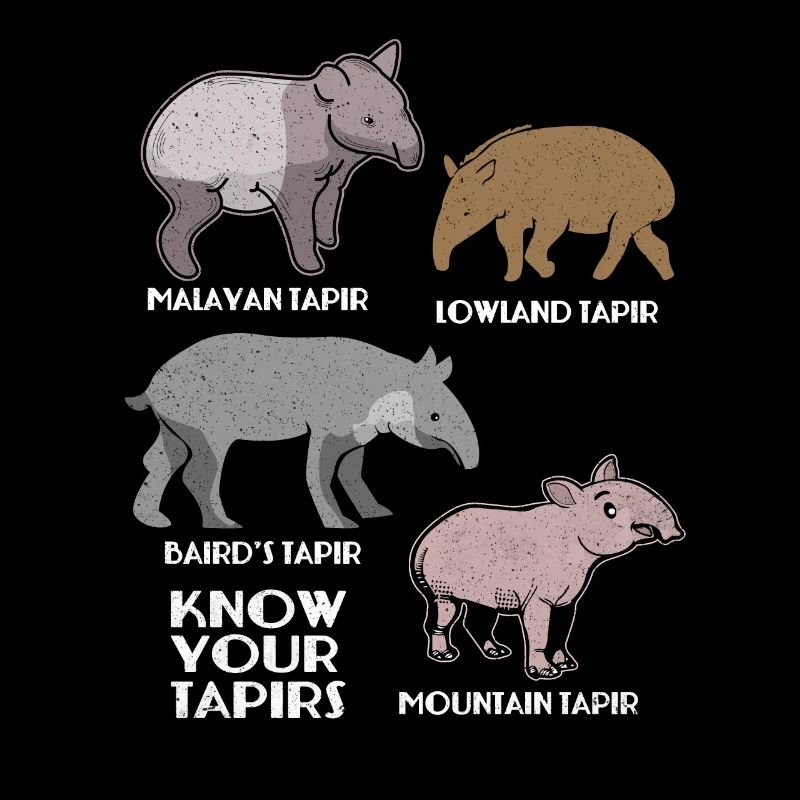 Tapir