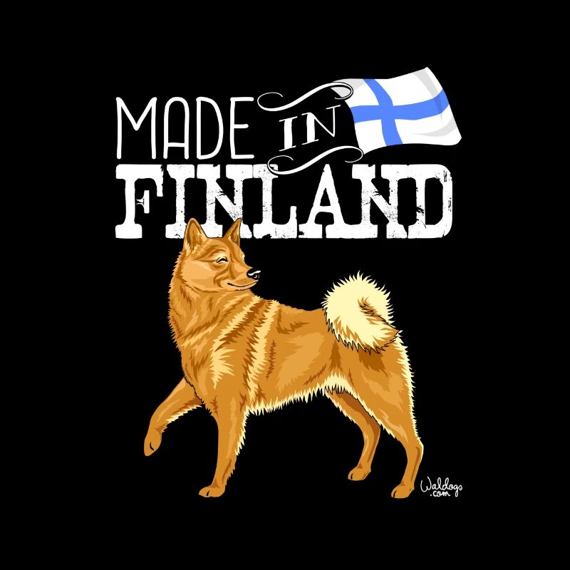 Finnish Spitz earin madein