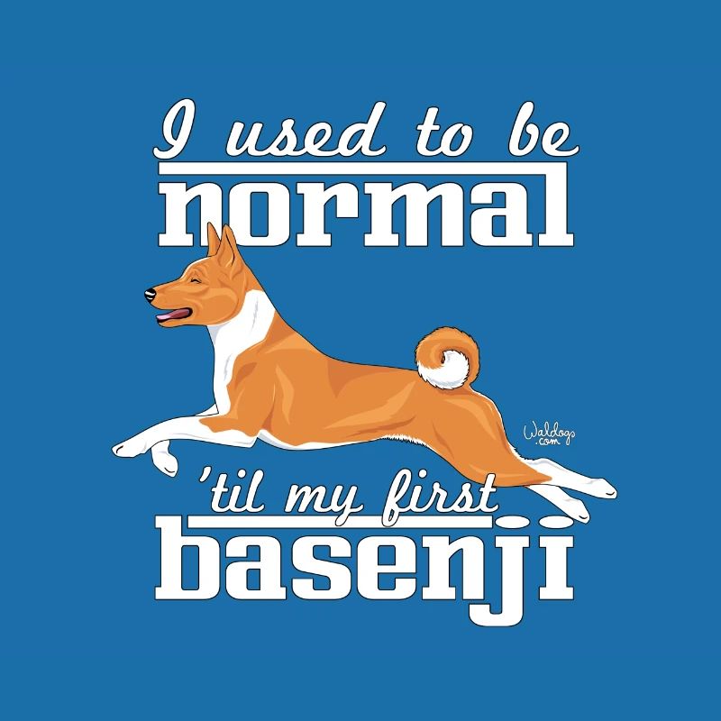 basenjinormal2
