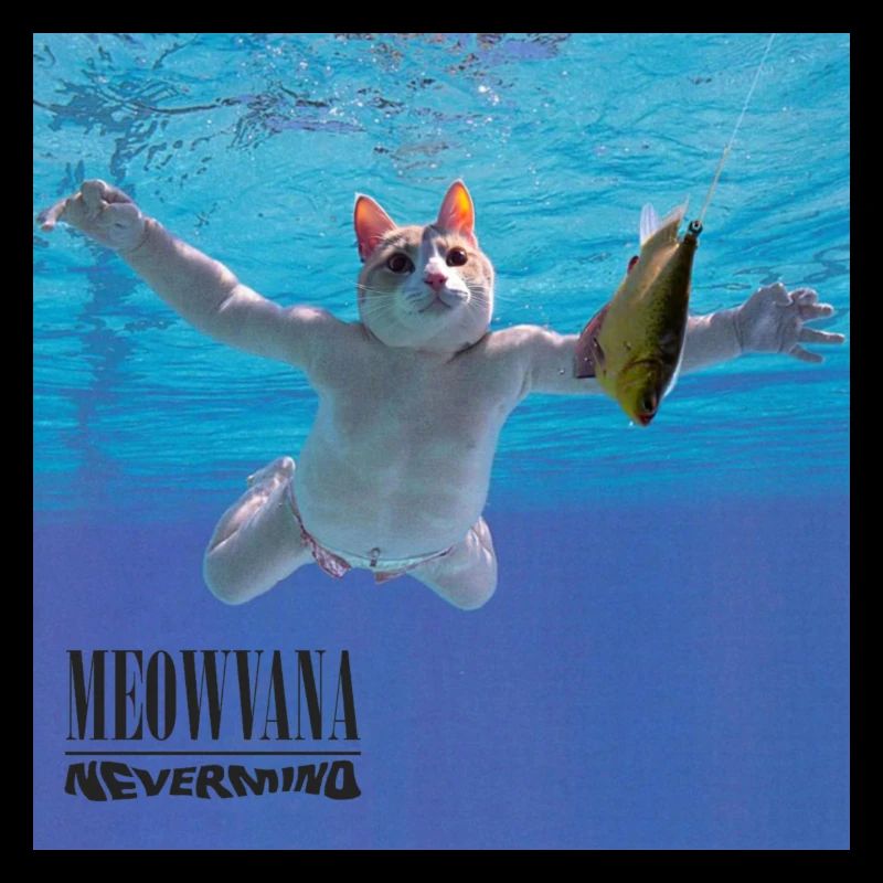 MEOWVANA - NEVERMIND
