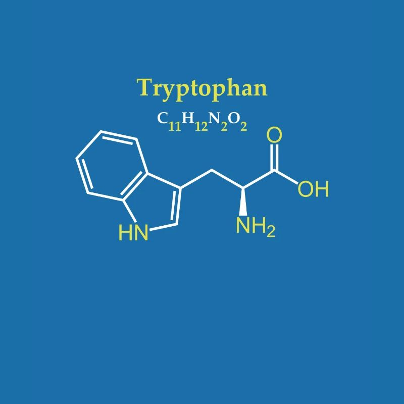 Tryptophan-Molekül