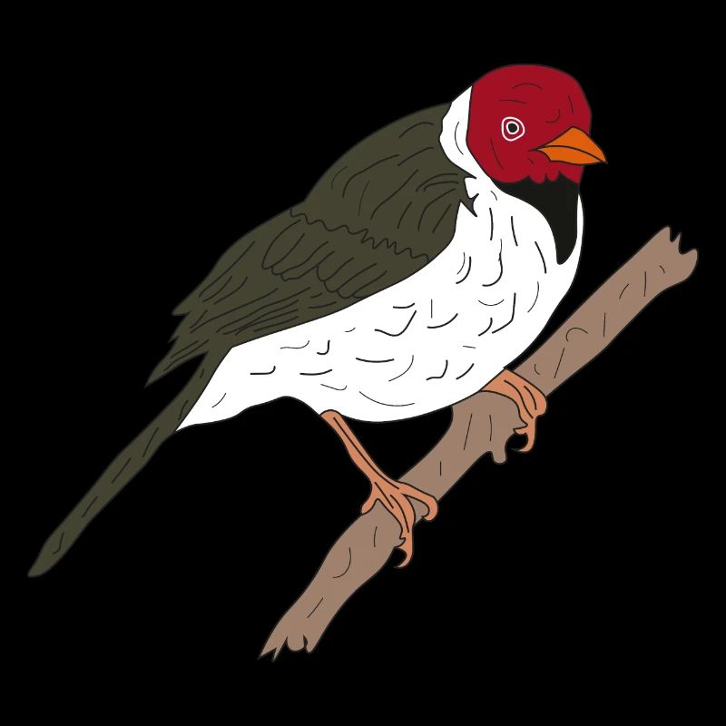 Coat Cardinal - Oiseau d’Amérique du Sud et d’Hawaï