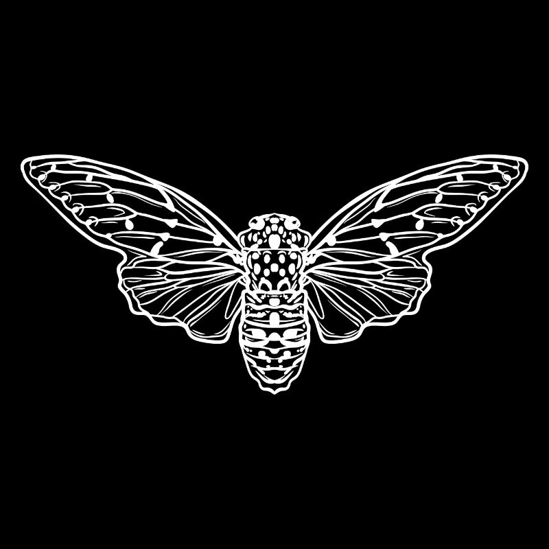 Cicada Minimalist