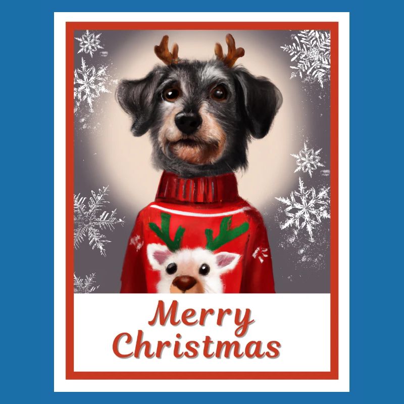 Schwarzer Zwergschnauzer im Weihnachtspullover.