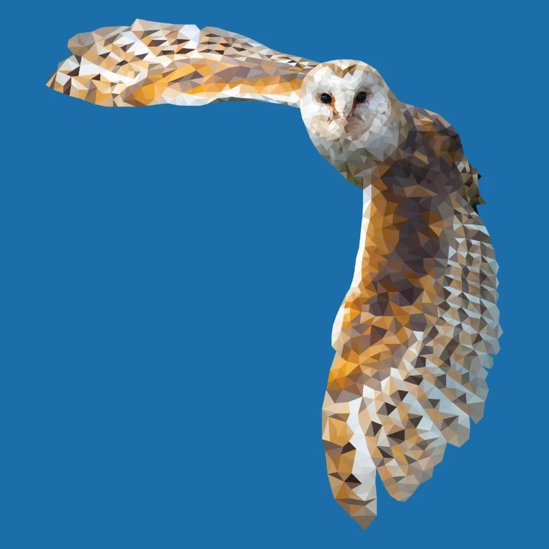 chouette barn owl low poly une rousse a la rescous