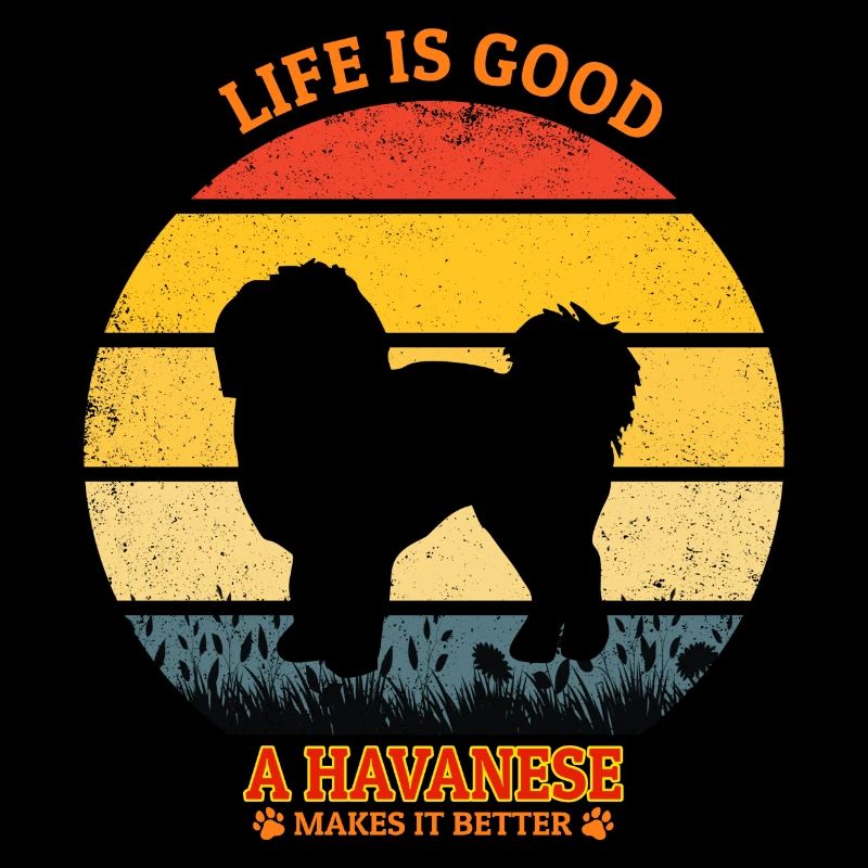 Life Is Good A Havansese Makes It Better