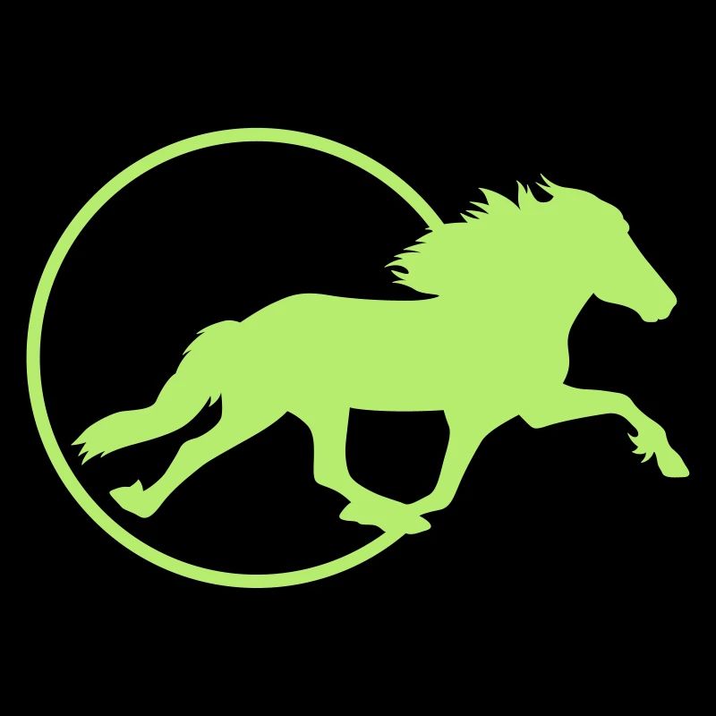 Cheval d’Islande - Pass de course