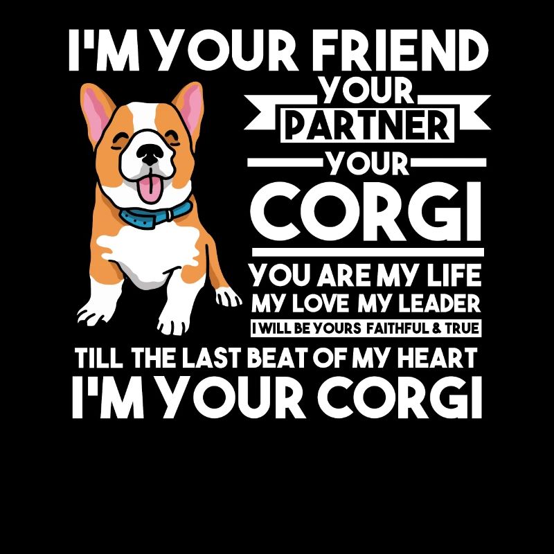 Corgi Corgi chien cadeau