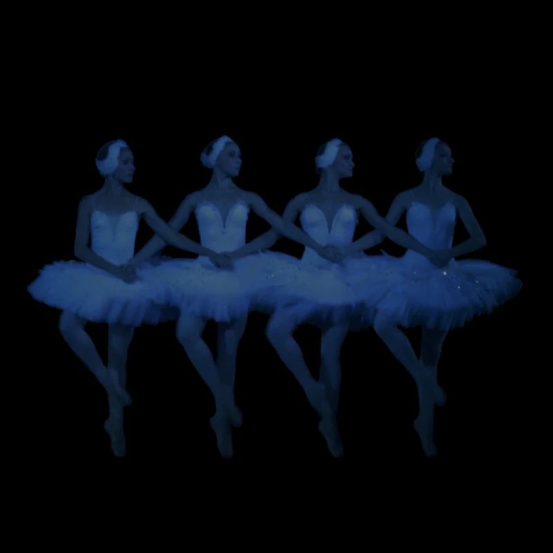 Лебединое озеро