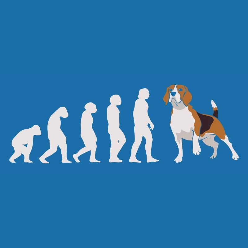 Evolution Beagle