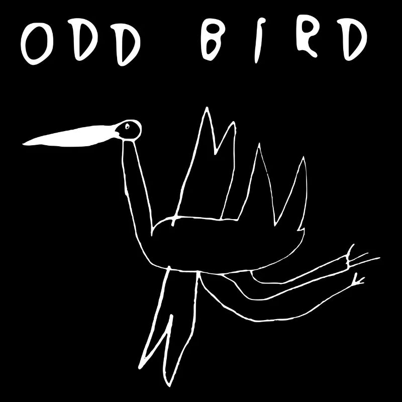 ODD BIRD