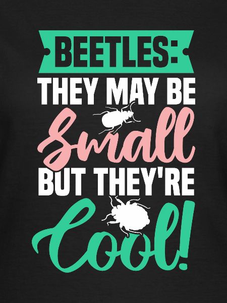 Insects