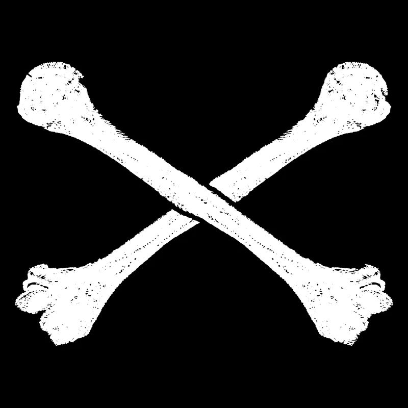 Os croisés