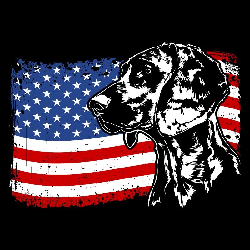 Chien de chasse à l’odeur hanovrienne Chiens de drapeau de l’Amérique