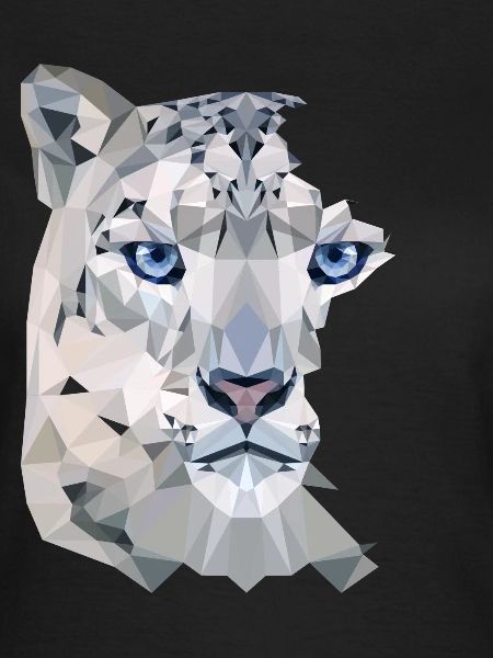 Snow Leopard Split