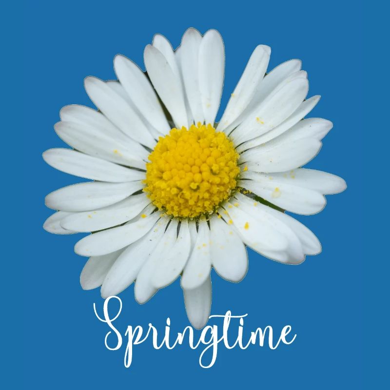 Springtime Margriet