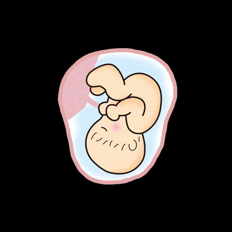 Embrio enfant cadeau de maman mère enceinte