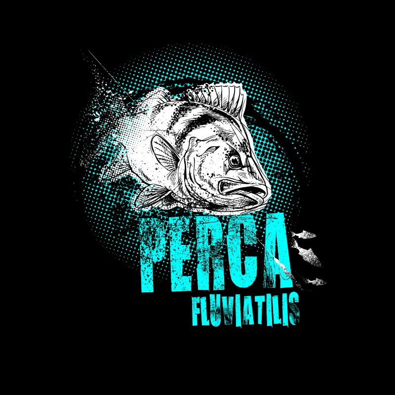 Perch – Perca fluviatilis