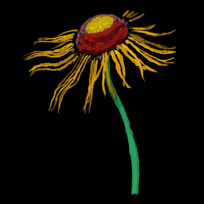 blume