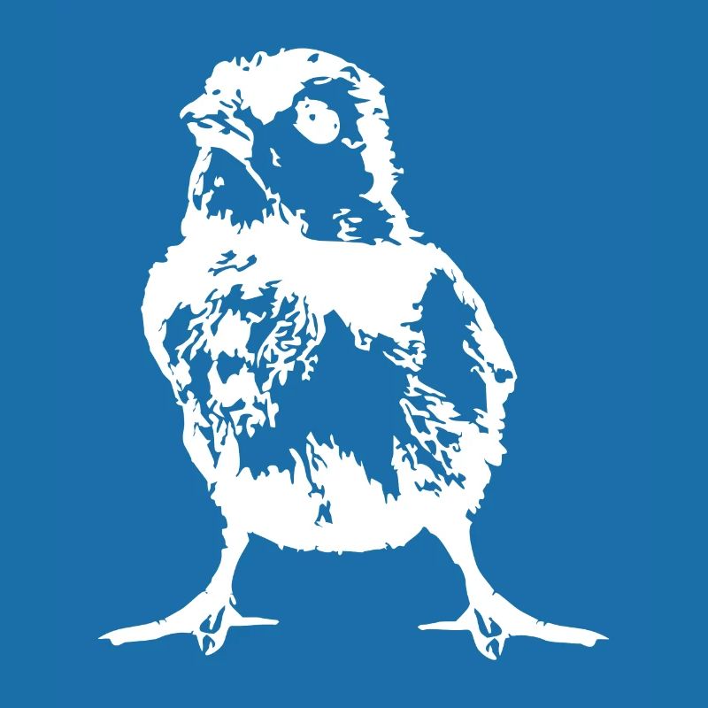 CHICK