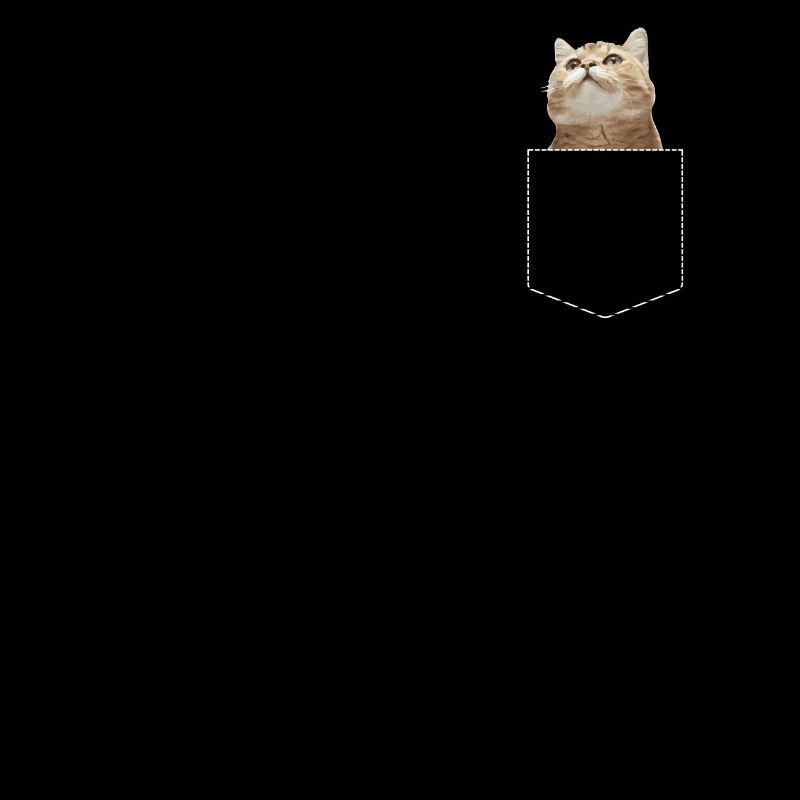 Chat de poche sac cadeau cadeau chat mignon