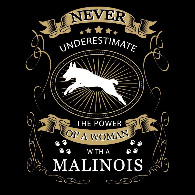 Malinois Belgischer Schäferhund