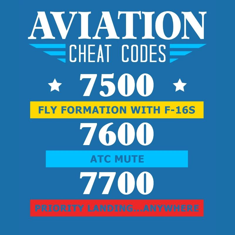 Aviation Cheat Codes Geschenk, Aviation Geschenk,