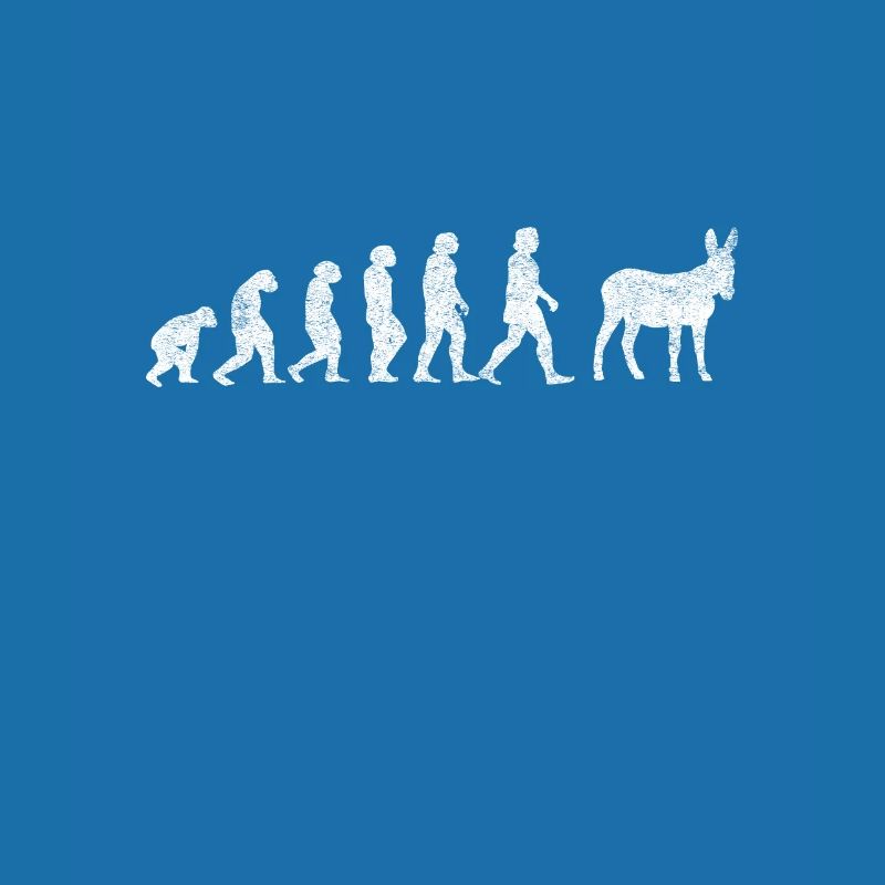 Donkey Mules Mules Mulis Evolution