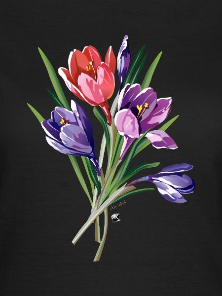 Crocus de l’image