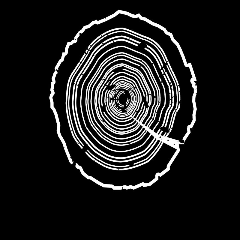 Wooden disc tree bark