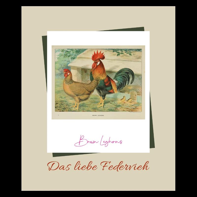 Das liebe Federvieh - Brown Leghorns