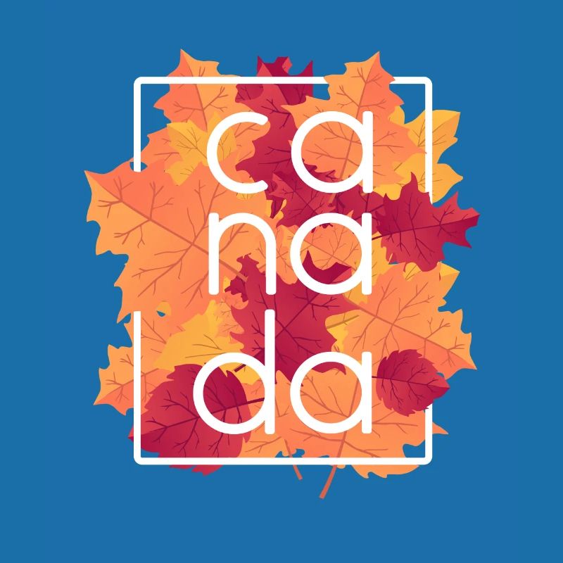 Kanada Herbst Saison Blätter Maple Leaf