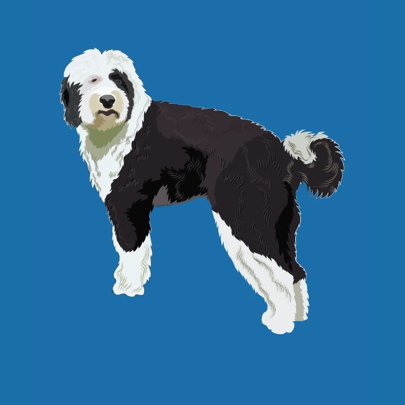 Cadeau de chien Sheepadoodle